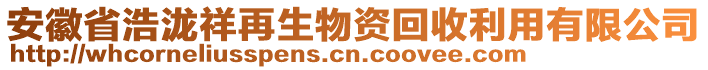 安徽省浩瀧祥再生物資回收利用有限公司