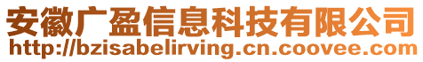 安徽廣盈信息科技有限公司