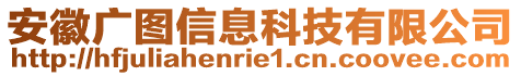 安徽廣圖信息科技有限公司