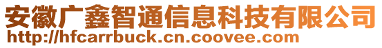 安徽廣鑫智通信息科技有限公司