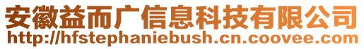 安徽益而廣信息科技有限公司