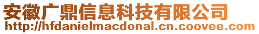 安徽廣鼎信息科技有限公司