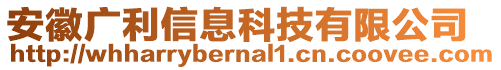 安徽廣利信息科技有限公司