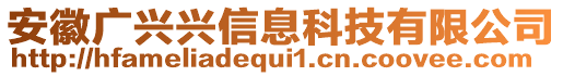 安徽廣興興信息科技有限公司