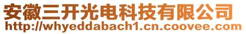 安徽三開光電科技有限公司