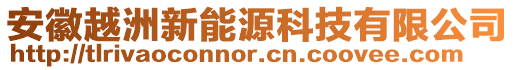 安徽越洲新能源科技有限公司