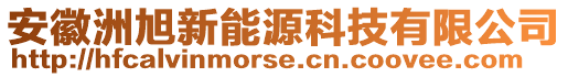 安徽洲旭新能源科技有限公司