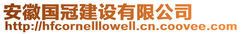 安徽國冠建設有限公司