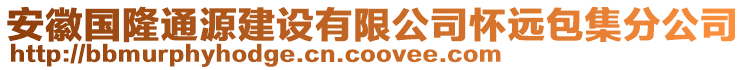 安徽國(guó)隆通源建設(shè)有限公司懷遠(yuǎn)包集分公司