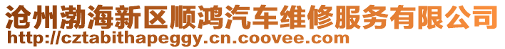 滄州渤海新區(qū)順鴻汽車維修服務(wù)有限公司