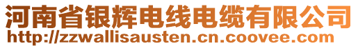 河南省銀輝電線電纜有限公司