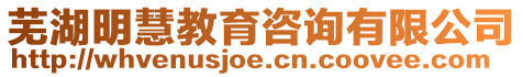 蕪湖明慧教育咨詢有限公司