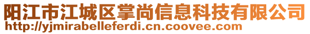 陽江市江城區(qū)掌尚信息科技有限公司