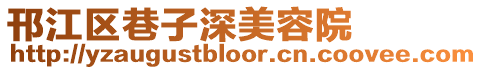 邗江區(qū)巷子深美容院