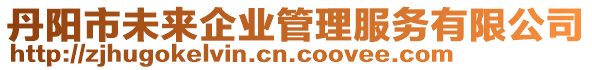 丹陽市未來企業(yè)管理服務有限公司