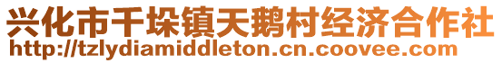 興化市千垛鎮(zhèn)天鵝村經(jīng)濟(jì)合作社