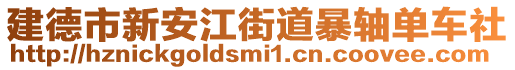 建德市新安江街道暴軸單車社