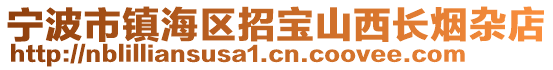 寧波市鎮(zhèn)海區(qū)招寶山西長煙雜店