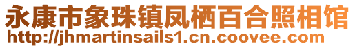 永康市象珠鎮(zhèn)鳳棲百合照相館