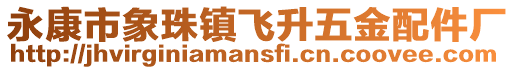 永康市象珠鎮飛升五金配件廠