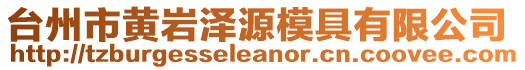臺州市黃巖澤源模具有限公司