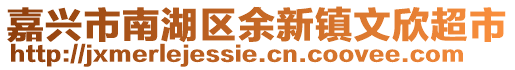 嘉興市南湖區(qū)余新鎮(zhèn)文欣超市