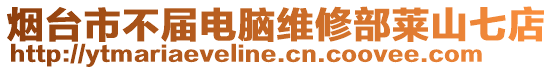 煙臺(tái)市不屆電腦維修部萊山七店