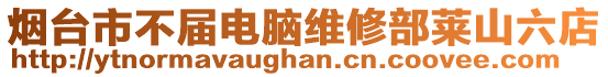 煙臺市不屆電腦維修部萊山六店