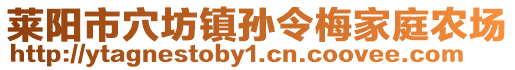 萊陽市穴坊鎮(zhèn)孫令梅家庭農(nóng)場