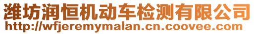 濰坊潤(rùn)恒機(jī)動(dòng)車檢測(cè)有限公司