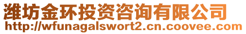 濰坊金環(huán)投資咨詢有限公司