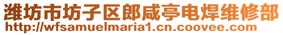 濰坊市坊子區(qū)郎咸亭電焊維修部