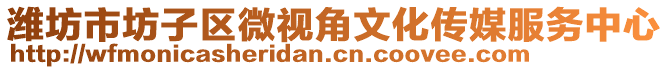 濰坊市坊子區(qū)微視角文化傳媒服務(wù)中心