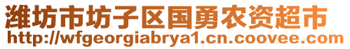 濰坊市坊子區(qū)國勇農(nóng)資超市