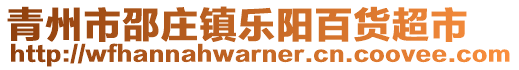 青州市邵庄镇乐阳百货超市