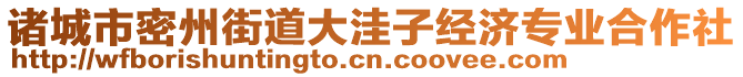 諸城市密州街道大洼子經(jīng)濟專業(yè)合作社