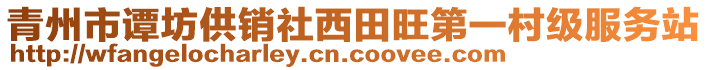 青州市譚坊供銷社西田旺第一村級(jí)服務(wù)站