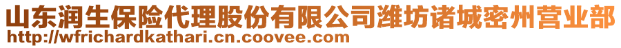 山東潤生保險(xiǎn)代理股份有限公司濰坊諸城密州營業(yè)部