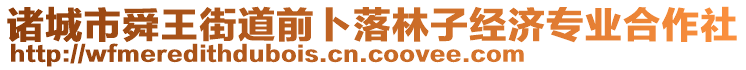 諸城市舜王街道前卜落林子經(jīng)濟專業(yè)合作社