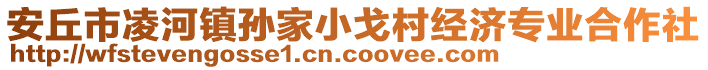 安丘市凌河鎮(zhèn)孫家小戈村經(jīng)濟(jì)專業(yè)合作社