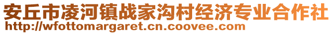 安丘市凌河鎮戰家溝村經濟專業合作社