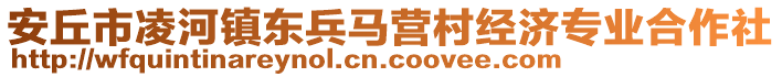 安丘市凌河鎮(zhèn)東兵馬營村經(jīng)濟(jì)專業(yè)合作社