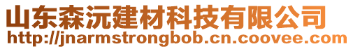 山東森沅建材科技有限公司