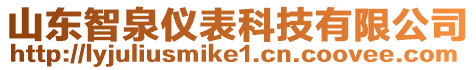 山東智泉儀表科技有限公司