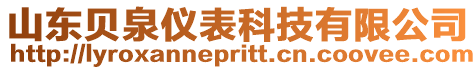山東貝泉儀表科技有限公司