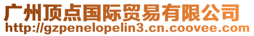 廣州頂點(diǎn)國際貿(mào)易有限公司