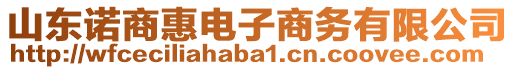 山東諾商惠電子商務(wù)有限公司