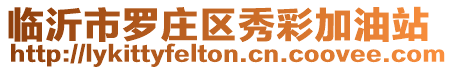臨沂市羅莊區秀彩加油站