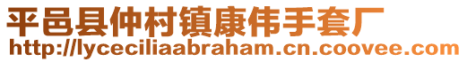 平邑县仲村镇康伟手套厂