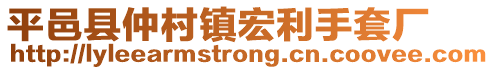 平邑县仲村镇宏利手套厂